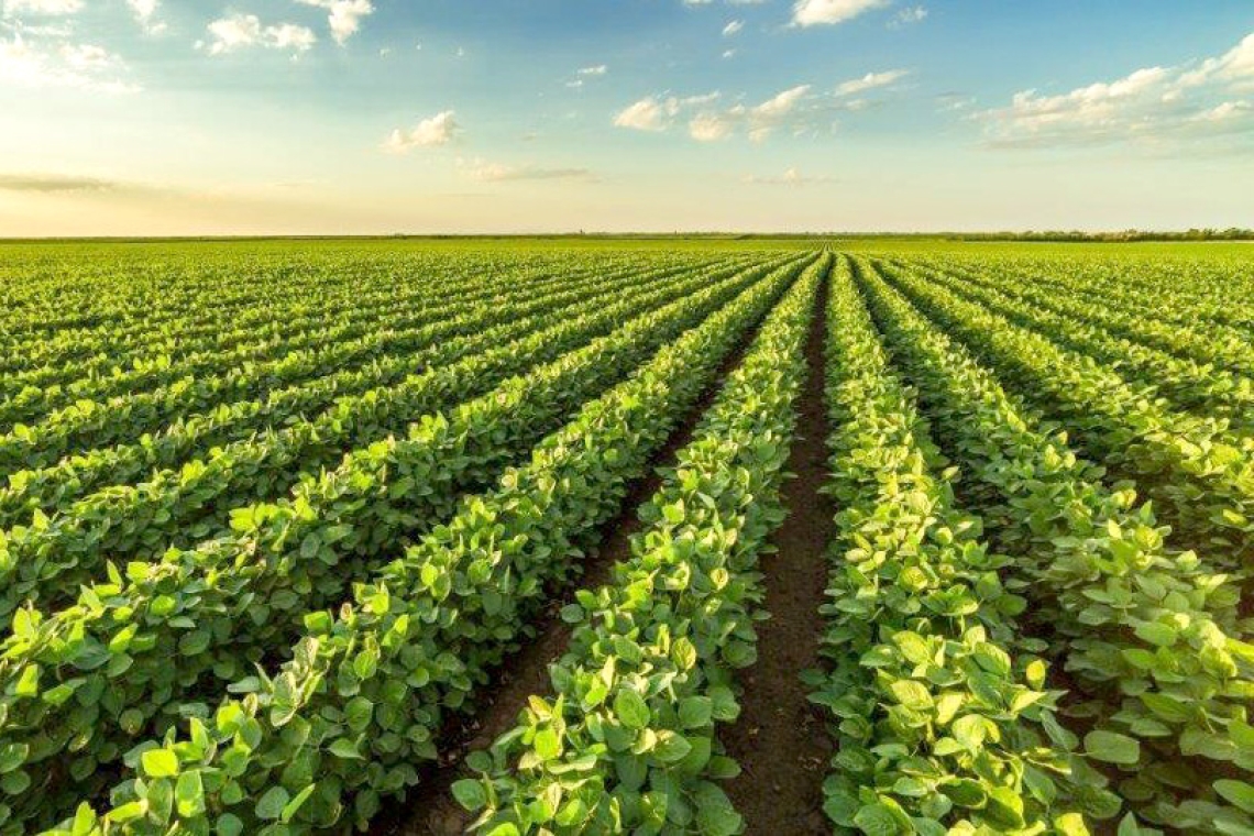 Javni poziv za zasnivanje i proširenje proizvodnje soje u 2022. godini