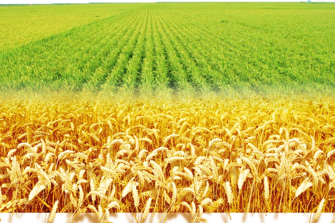 Javni poziv za dostavu zatvorenih pisanih ponuda za dodjelu u zakup poljoprivrednog zemljišta u vlasništvu države na području općine Odžak