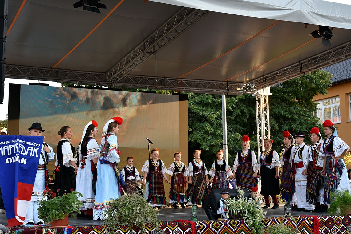 Središnja događanja ovogodišnjeg Posavskog kola