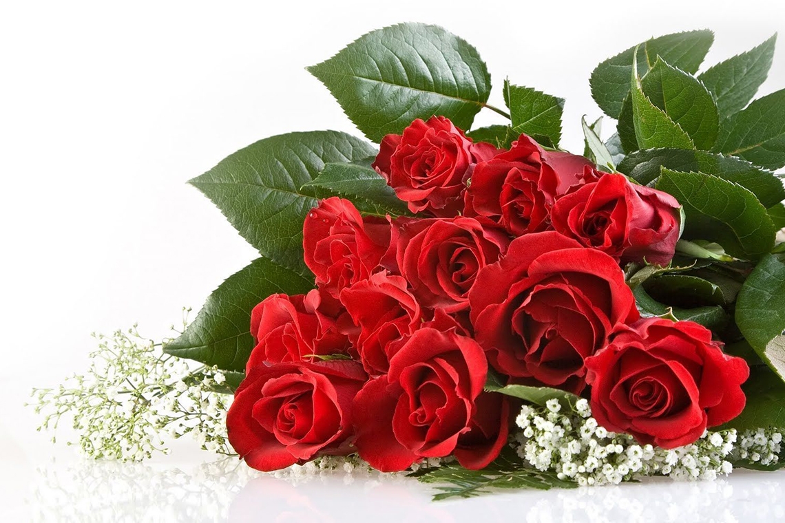 Čestitka povodom Dana žena