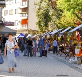 Jesen u Odžaku - Mali sajam