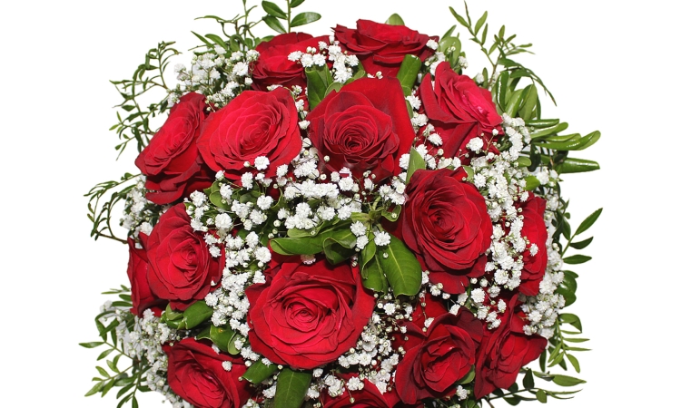 Čestitka povodom Dana žena