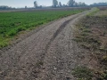 poljski putovi