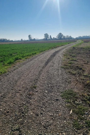 poljski putovi